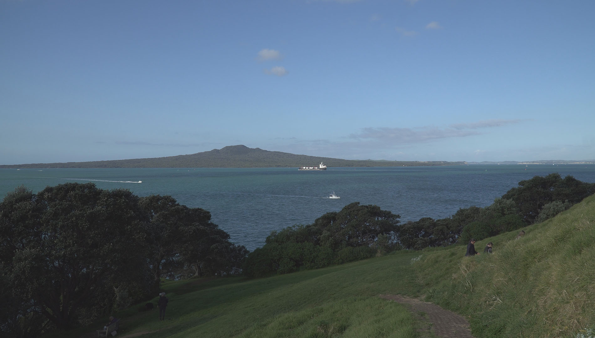 Aotearoa Chief